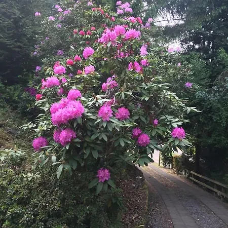 Grand Coo Chalet Stavelot