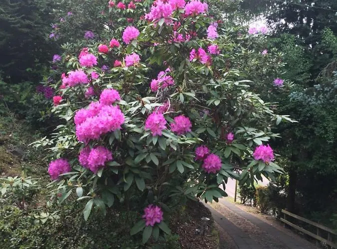 Grand Coo Chalet Stavelot